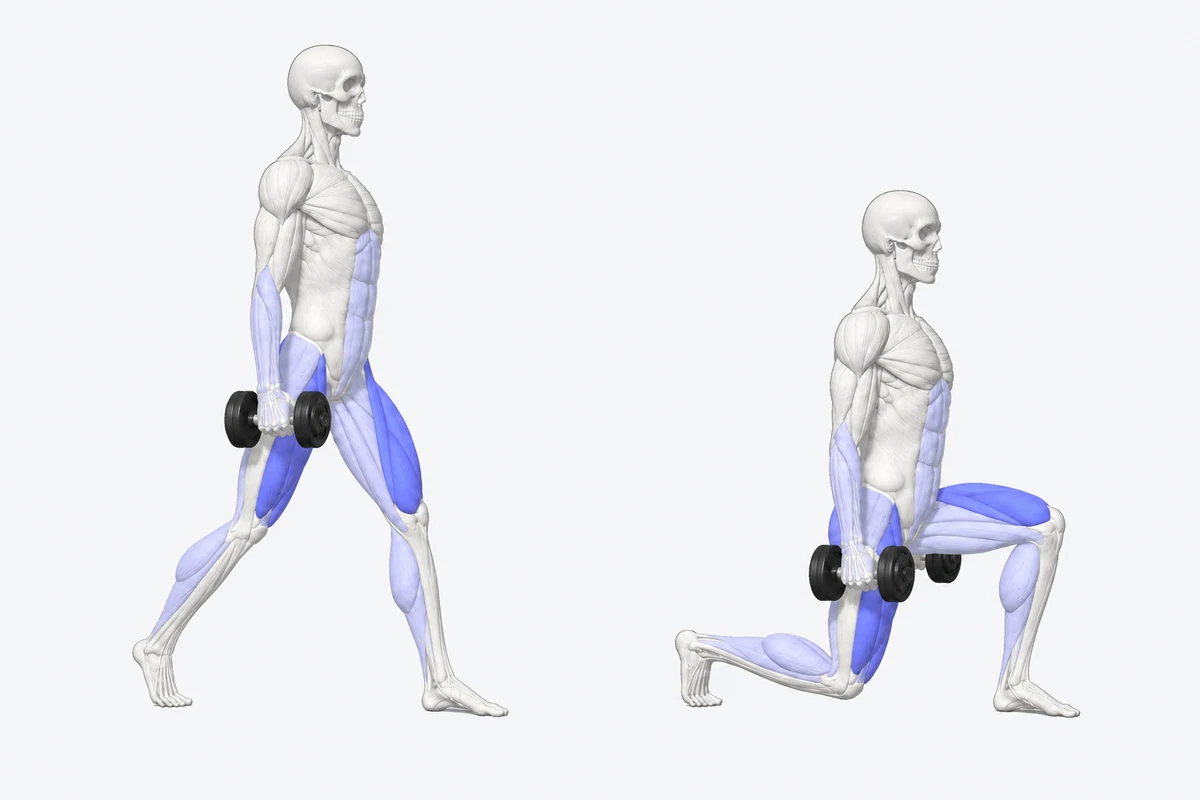Dumbbell Lunges exercise illustration