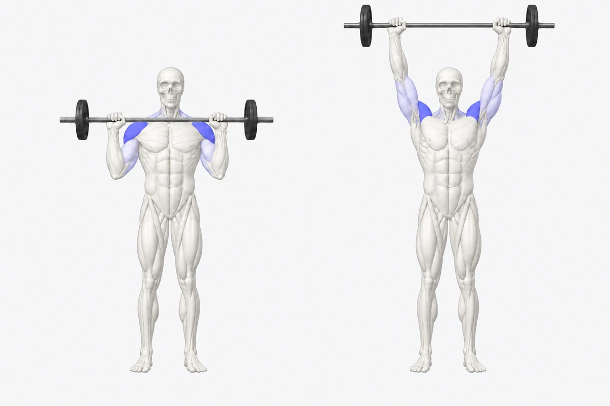 Standing Military Press exercise illustration