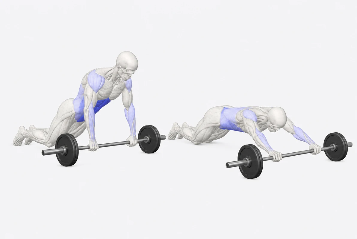Barbell Ab Rollout exercise illustration